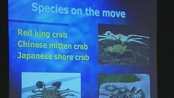 Species on the Move Ennis conference 2004