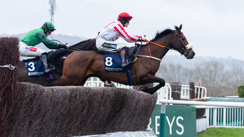 The Real Whacker (no 8) in action at the 2023 Cheltenham Festival