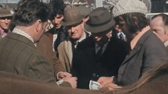 Ballinslow Horse Fair 1974