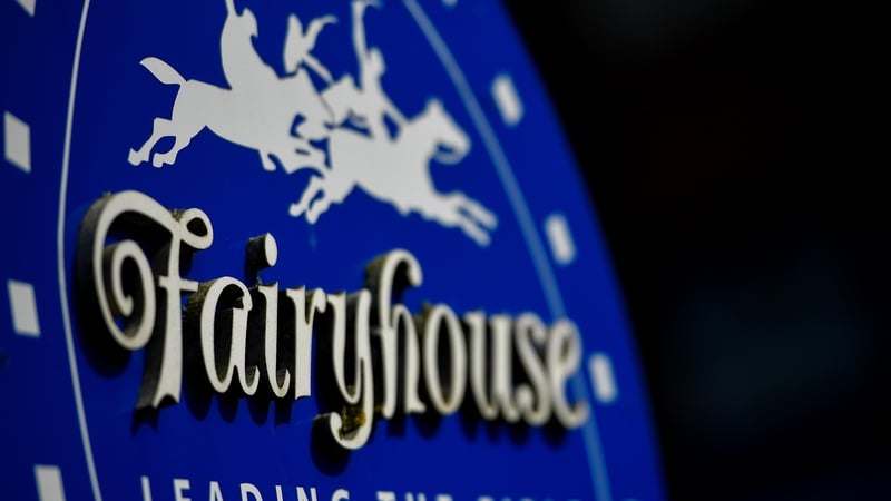 Rebel Diamond picked up a win at Fairyhouse