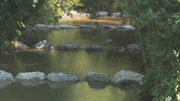 River blockages can stop fish from completing their life cycle