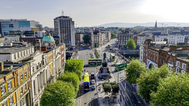 Some plant species exhibit biophysical traits that can aid in air pollution mitigation from traffic or industry. Photo: Getty Images