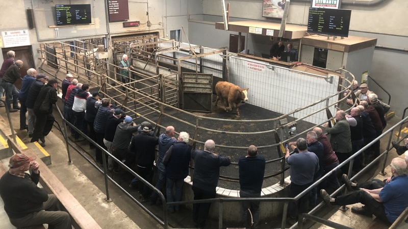 Farmers at Clare Marts arena say this is the last opportunity for the Government to honour its promise to introduce an income volatility measure