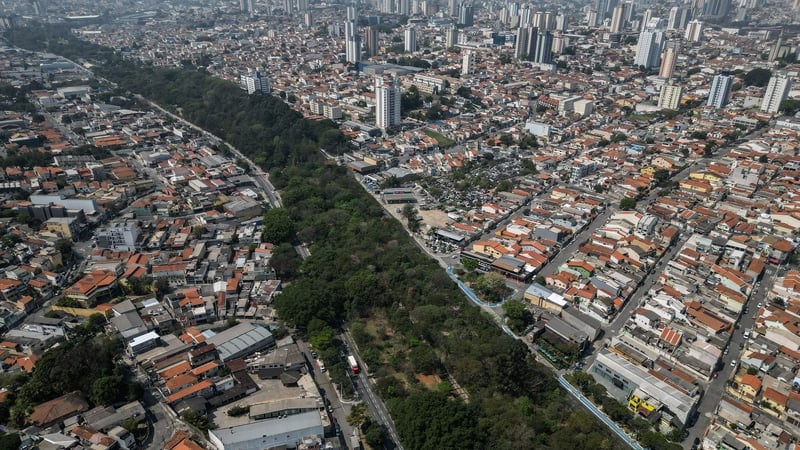 Helio da Silva started planting trees in Sao Paulo in 2003 without any formal authorisation