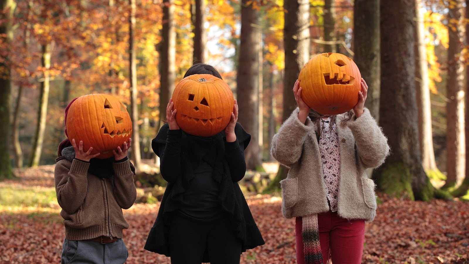 5 places to celebrate Halloween with the kids this October