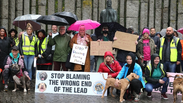 Demonstrators called on the Government to improve laws relating to XL Bullys (Photo: RollingNews.ie)