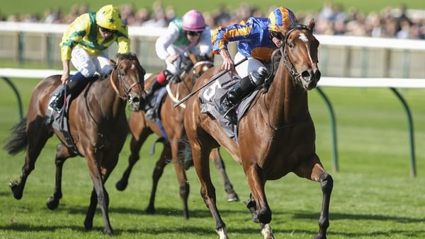 A daughter of Frankel and two-time Group One winner Quiet Reflection, Lake Victoria relished the soft ground at Newmarket