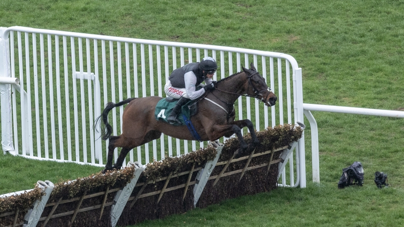 Flooring Porter may run over the smaller obstacles in the Cleeve Hurdle