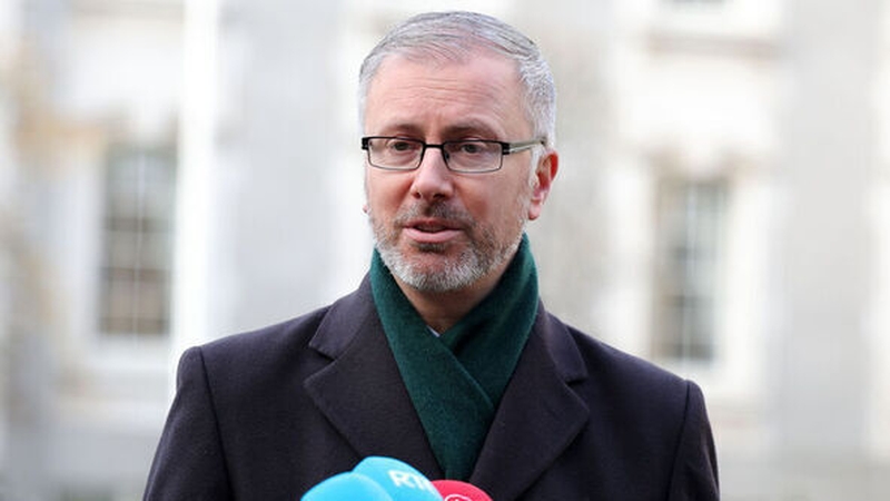 Roderic O'Gorman said the Hungarian government has been scapegoating the LGBTQI+ community for years (file pic)