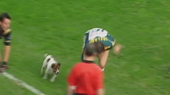 Brock, Jack Russell, on the pitch at Croke Park, 2004