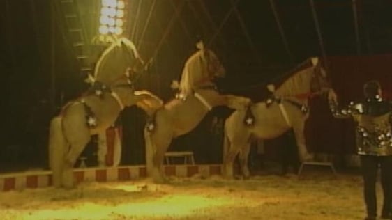 The American Circus, 1999