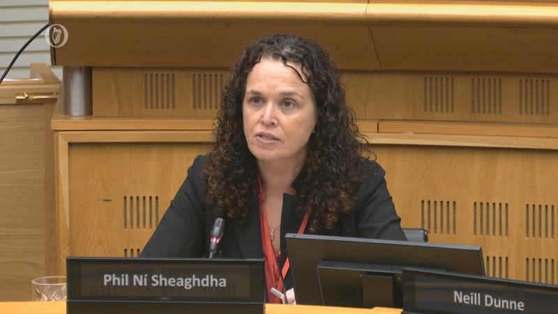 INMO chief Phil Ni Sheaghdha told the committee that a cap on hiring was 'the wrong move'