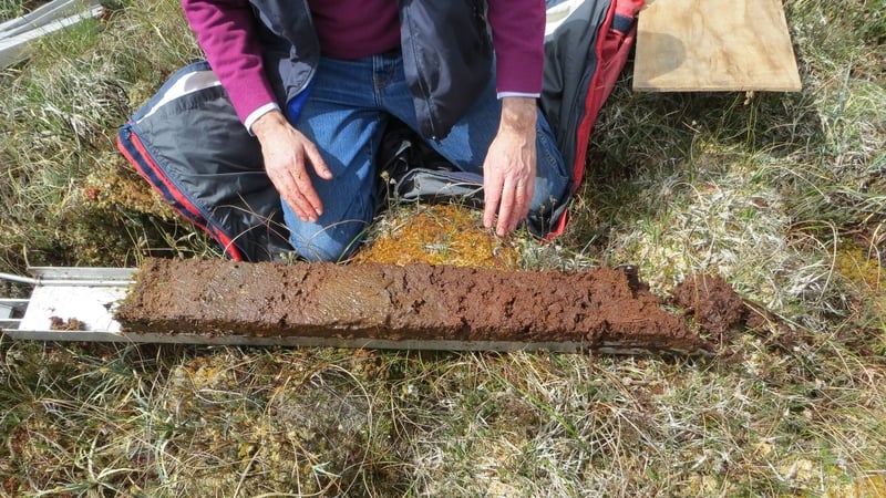 A peat core from 10,000 years of bog sediment Photo: Fraser Mitchell, Trinity College Dublin
