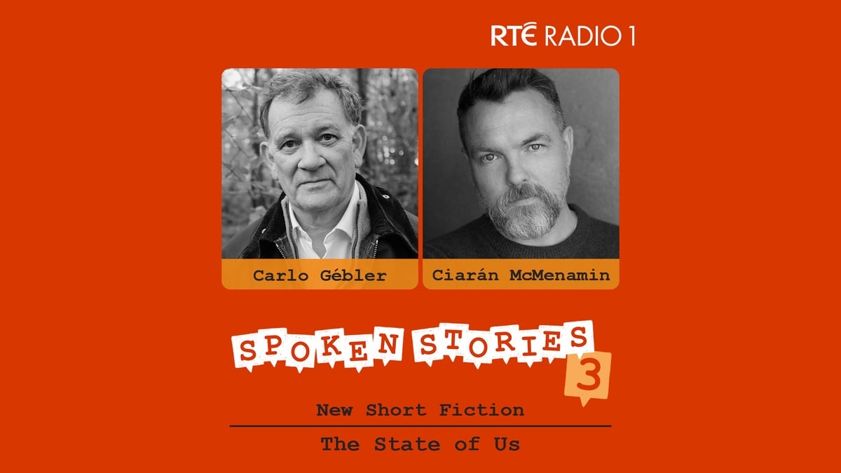 A Life in Twelve Parts by Carlo Gébler voiced by Ciarán McMenamin