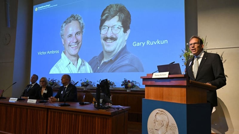 Thomas Perlmann speaks in front of a picture of this year's laureates Victor Ambros and Gary Ruvkum