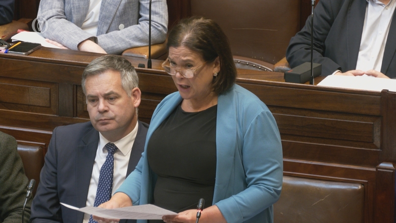 Mary Lou McDonald told the Dáil yesterday that the provision of work references by Michael McMonagle was reprehensible