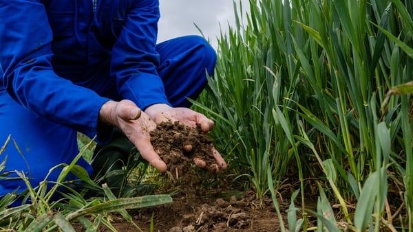 The nitrates derogation would allow Irish farmers some relief from the strict EU rules aimed at protecting watercourses from agricultural pollution caused by fertiliser and animal waste