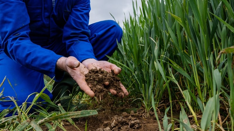 The nitrates derogation would allow Irish farmers some relief from the strict EU rules aimed at protecting watercourses from agricultural pollution caused by fertiliser and animal waste