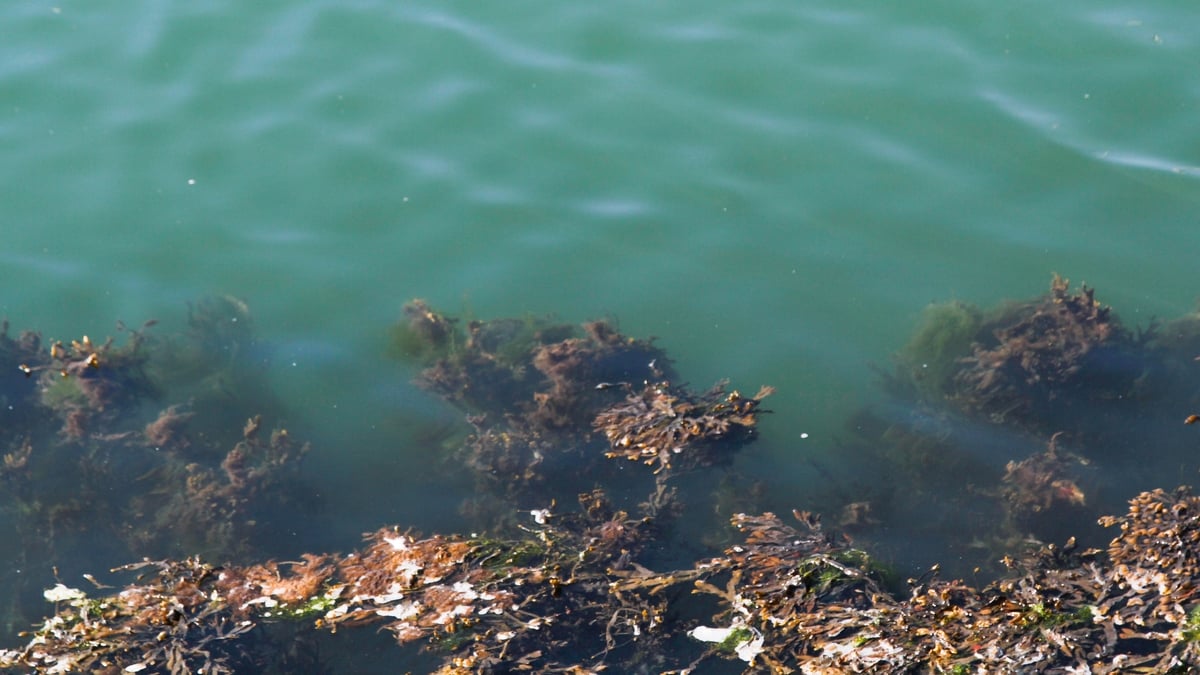 Quality of Irish bathing waters improving