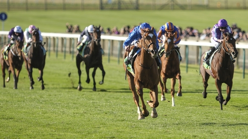 Desert Flower is the unbeaten daughter of Night Of Thunder