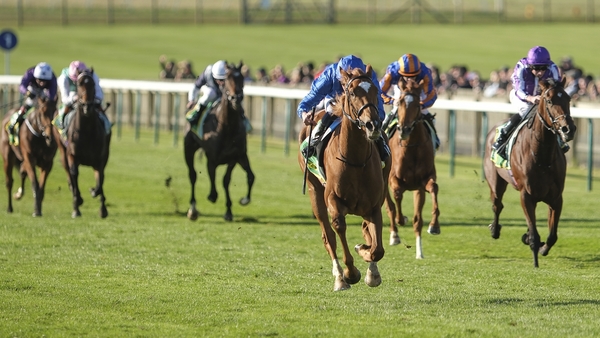Desert Flower is the unbeaten daughter of Night Of Thunder