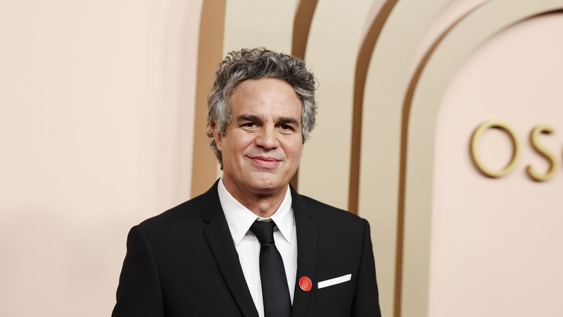 Mark Ruffalo said the party was about to do something 'something terrible' by allowing strategic gas storage in legislation