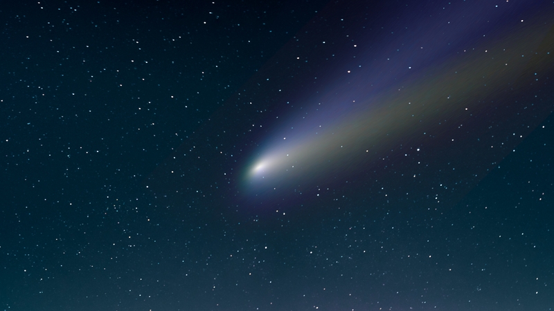 The comet would last have been visible from around 80,000 years ago, when Neanderthals were alive (stock pic)