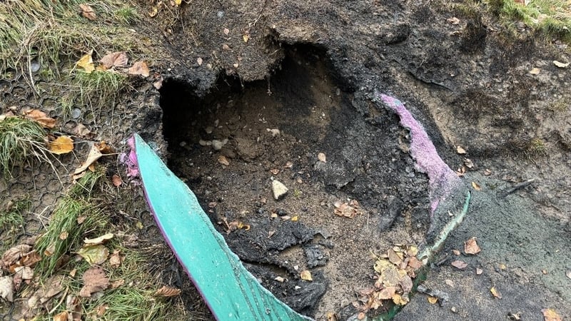 The fire occurred at Redmond Park around 11pm on Saturday night