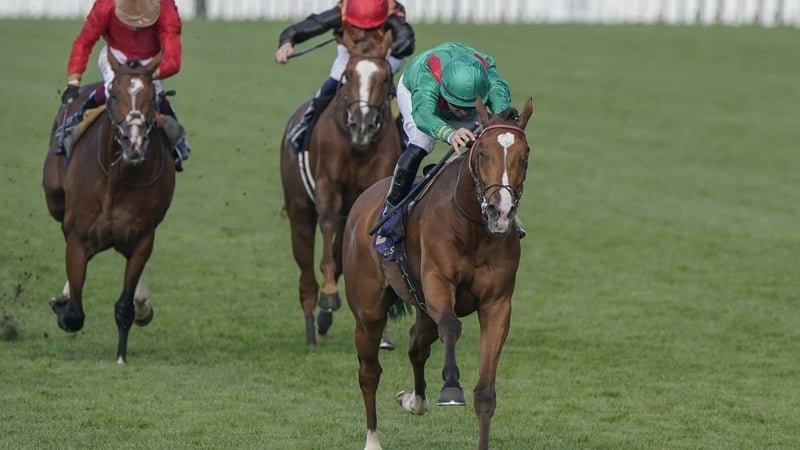 Calandagan clocked impressive closing sectionals when second in the Sheema Classic on his most recent outing