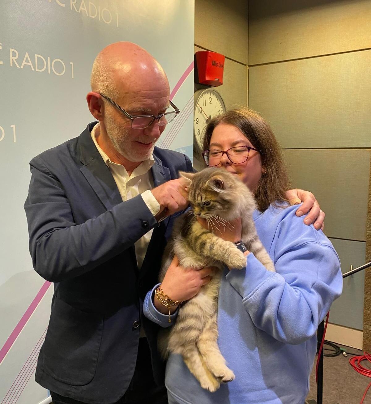 GCCFI Supreme Cat Show Winner