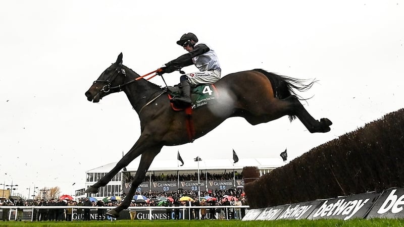 Gerri Colombe is set for a Down Royal appearance