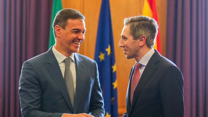 Spain's PM Pedro Sanchez and Simon Harris attempted to re-start efforts to use EU trade to make an impact on Israel