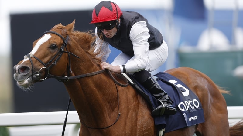 Kyprios will be in contention to win a third Ascot Gold Cup next month