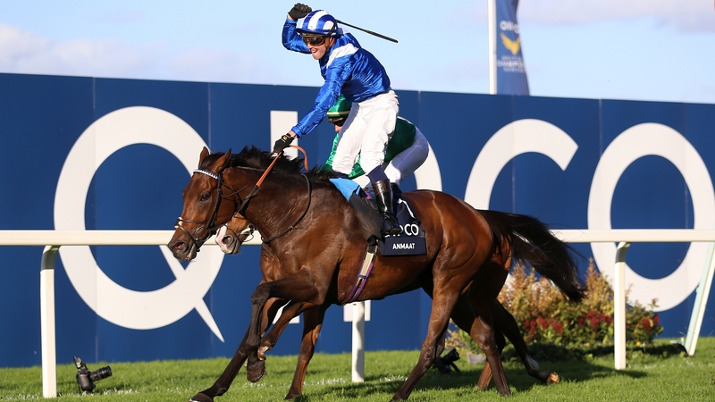 Anmaat's finest hour came in the Qipco Champion Stakes at Ascot last season