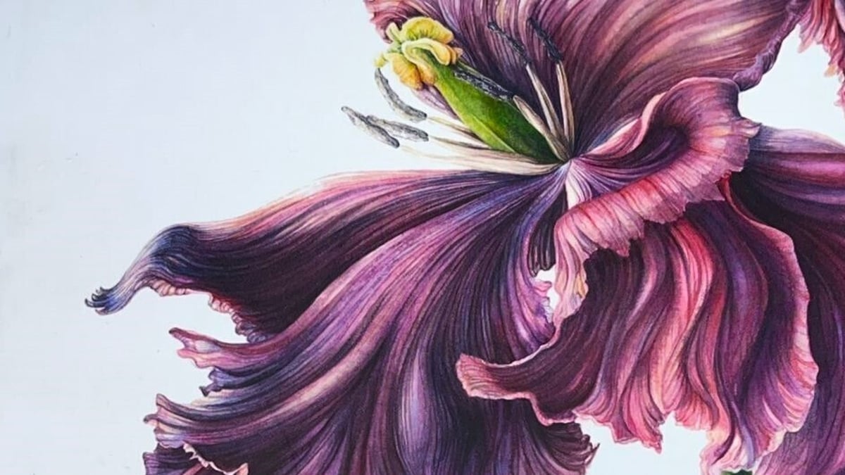 The Naturalist's Bookshelf "Drawn From Nature" | Culture File