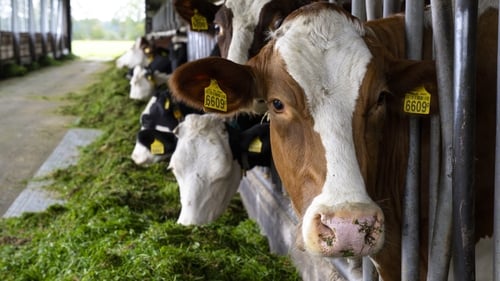 'As a key component of fertilisers, manure and animal waste, nitrogen easily leaches into water bodies through runoff and groundwater infiltration, particularly in agricultural regions'.