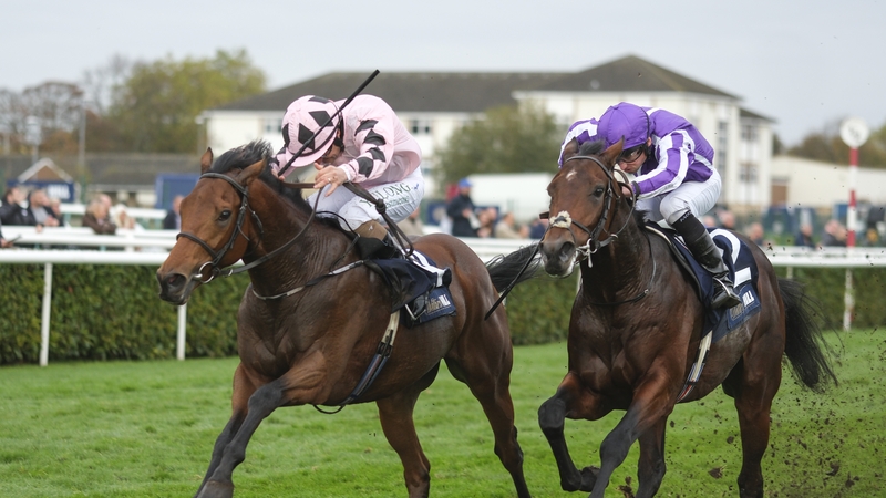 Hotazhell edged out Delacroix by a nose when the pair met in the Futurity Trophy at Doncaster at the end of last season