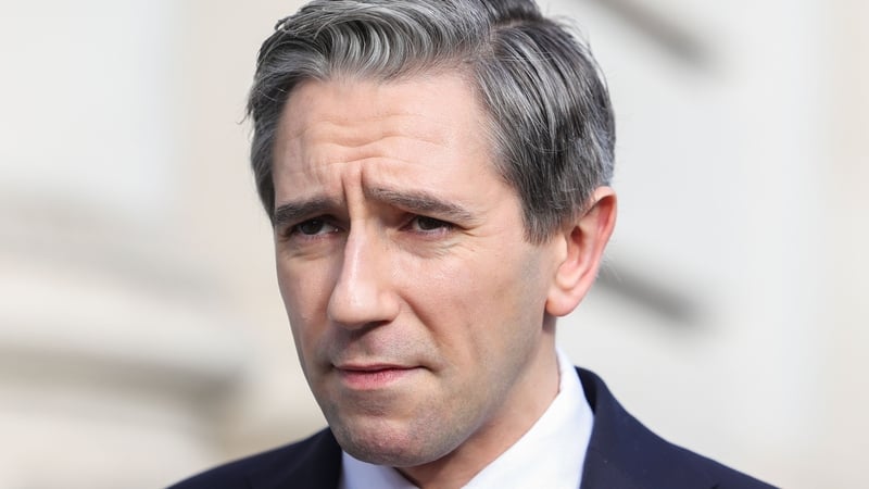 Simon Harris said progress with the Occupied Territories Bill was being made