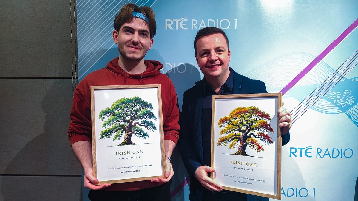 Rewilding Ireland one tree at a time 