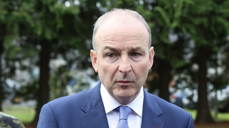 RTÉ News understands that Taoiseach Micheál Martin made the offer during a video conference with other EU leaders