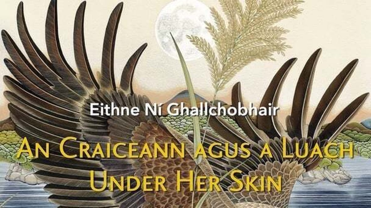 An Craiceann agus a Luach wth Eithne Ní Ghallchobhair & Steve Cooney