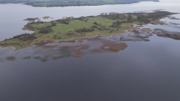 Clawinch Island is a haven for water birds and an importand migratory stopping point