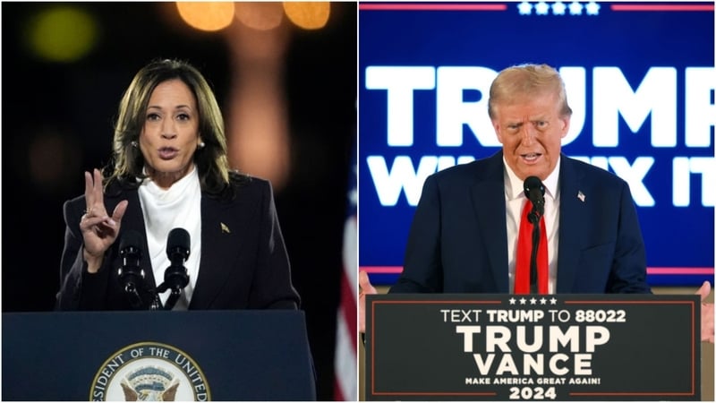 'The economic policies proposed by Kamala Harris and Donald Trump are as different as the candidates themselves'