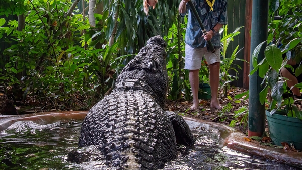 Cassius was thought to be more than 110 years old