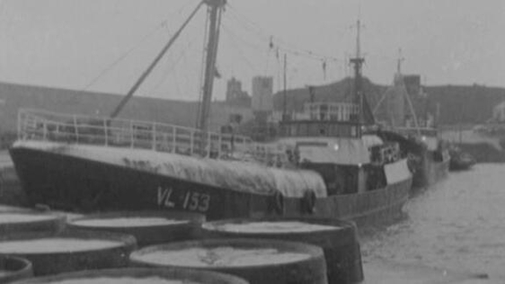 Irish Navy, 1969
