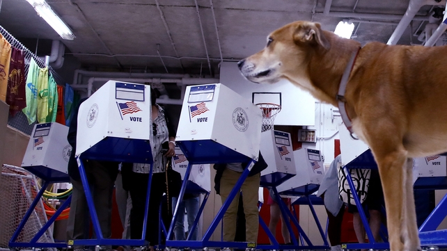 It was all bark and little bite as early results flowed in New York City