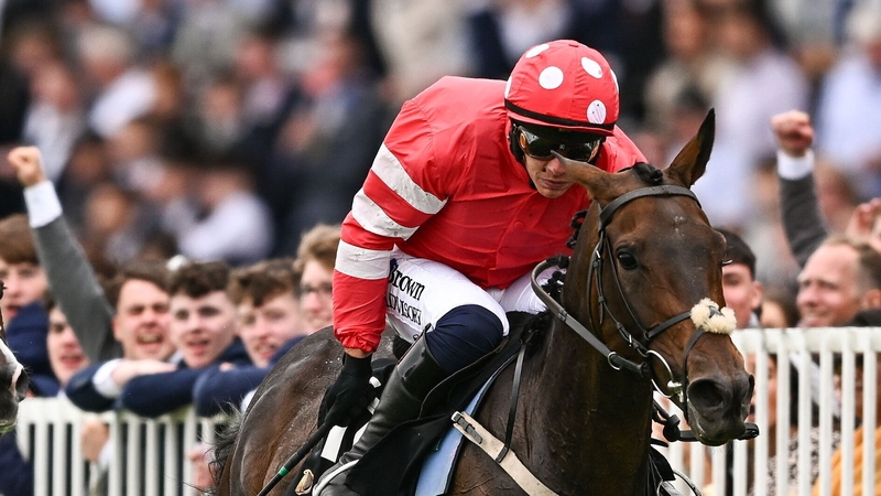 Pink In The Park was expected to come up short against Allegorie De Vassy