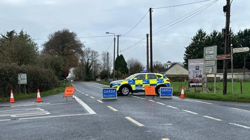 The teenager died after he was struck by a vehicle on the R403 near Robertstown in the early hours of Sunday morning