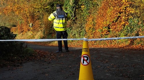 The search comes 29 years after Jo Jo Dullard's disappearance (Pic: RollingNews.ie)
