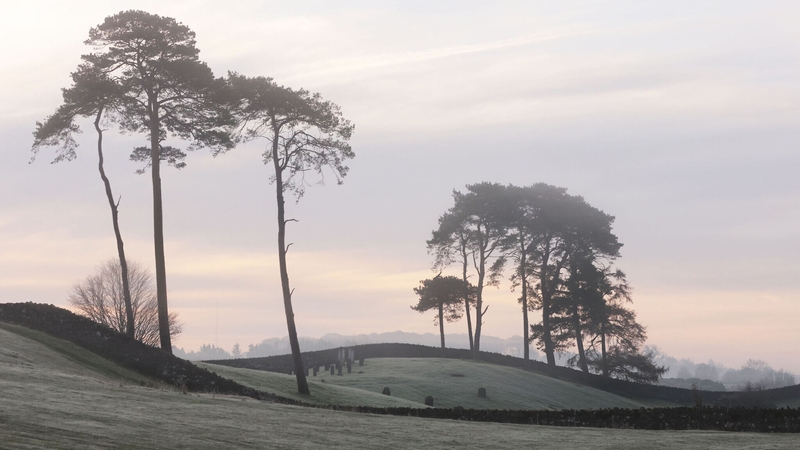 Fog on the Curragh Plains in Co Kildare (Pic: RollingNews.ie)